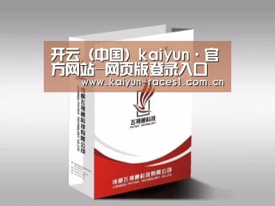 项目名称十三