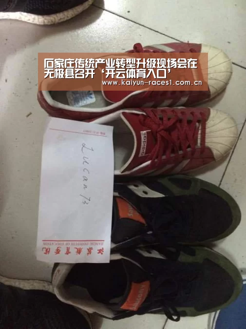 石家庄传统产业转型升级现场会在无极县召开‘开云体育入口’(图1)