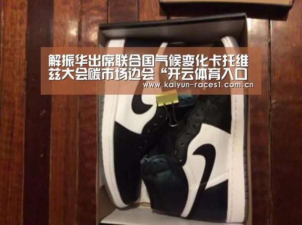 解振华出席联合国气候变化卡托维兹大会碳市场边会“开云体育入口”(图1) 开云官网
