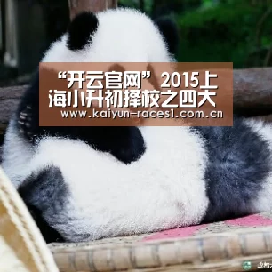 开云体育入口