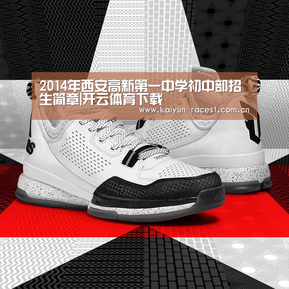 2014年西安高新第一中学初中部招生简章|开云体育下载(图2) 开云