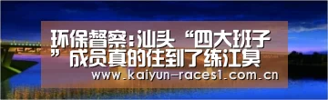 环保督察:汕头“四大班子”成员真的住到了练江臭水边-开云体育下载(图2) 开云APP