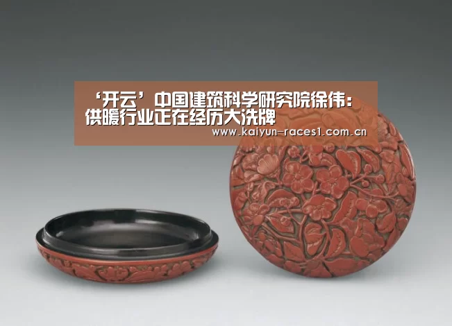 ‘开云’中国建筑科学研究院徐伟：供暖行业正在经历大洗牌(图1)