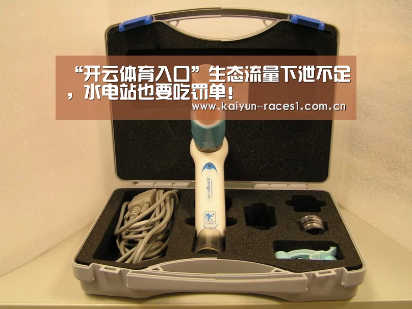 “开云体育入口”生态流量下泄不足,水电站也要吃罚单!(图1) 开云