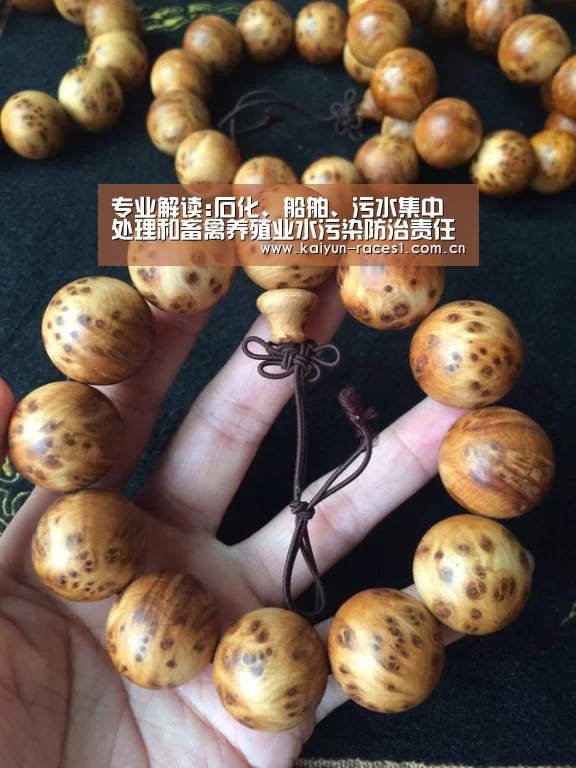 专业解读:石化、船舶、污水集中处理和畜禽养殖业水污染防治责任-开云官网(图1) 开云体育入口