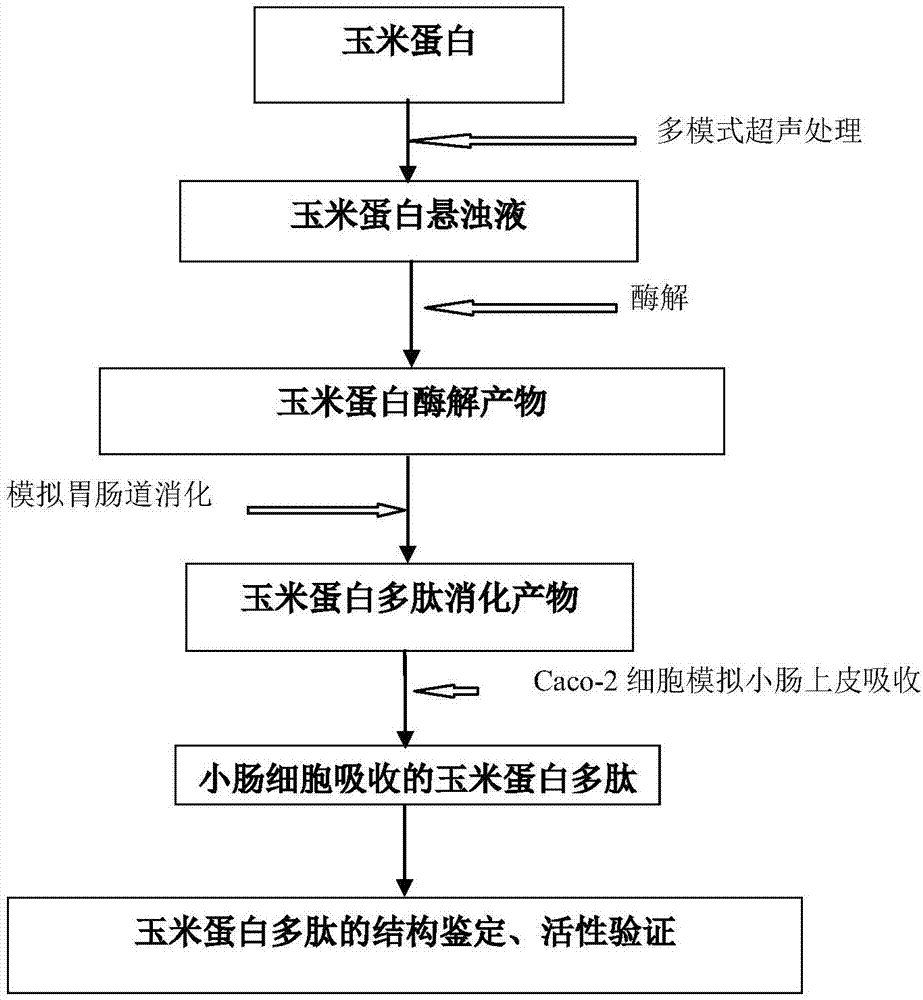 陕西省将细分房地产市场加快小城镇项目建设进度|开云体育下载(图1) 开云体育入口