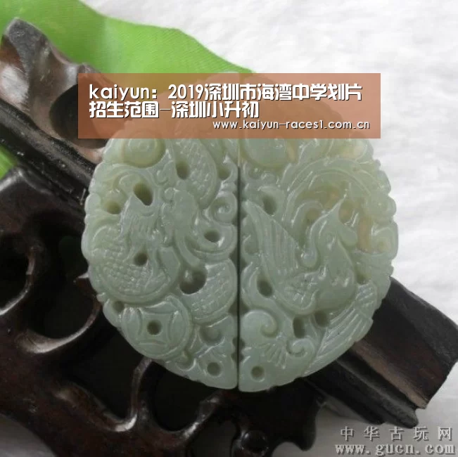 kaiyun:2019深圳市海湾中学划片招生范围-深圳小升初(图1) 开云