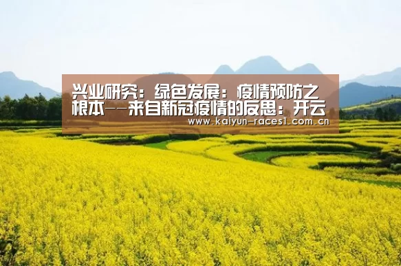 兴业研究:绿色发展:疫情预防之根本--来自新冠疫情的反思:开云官网(图2) 开云