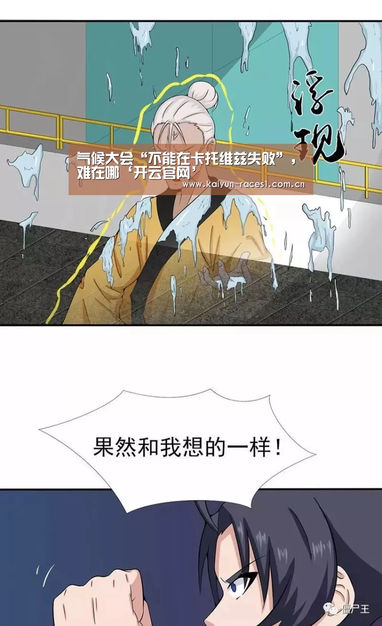 气候大会“不能在卡托维兹失败”,难在哪‘开云官网’(图1) 开云APP