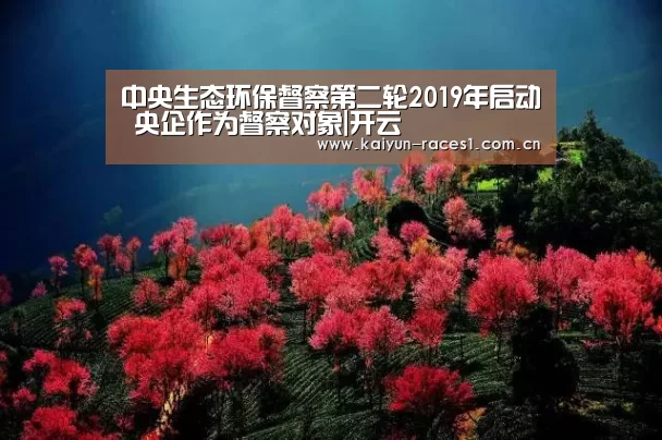 中央生态环保督察第二轮2019年启动 央企作为督察对象|开云(图1) 开云体育入口