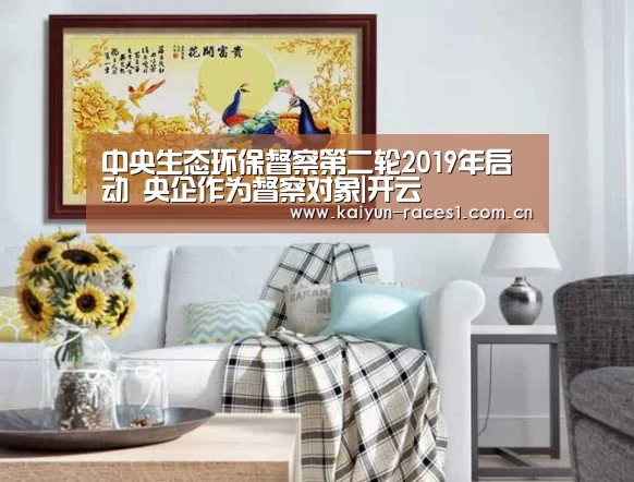 中央生态环保督察第二轮2019年启动 央企作为督察对象|开云(图3) 中央生态环保督察第二轮2019年启动 央企作为督察对象|开云(图3)