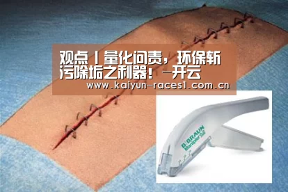 观点丨量化问责,环保斩污除垢之利器!-开云(图4) 开云