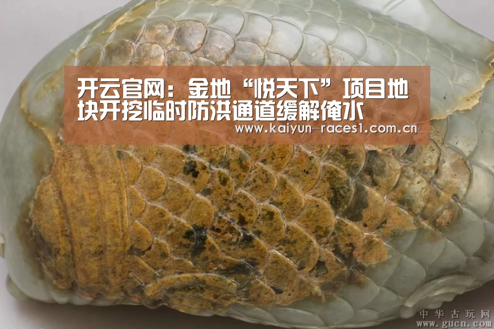 开云官网:金地“悦天下”项目地块开挖临时防洪通道缓解淹水(图3) 开云APP