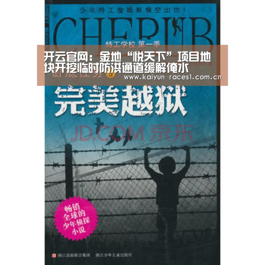 开云官网:金地“悦天下”项目地块开挖临时防洪通道缓解淹水(图1) 开云