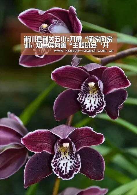 开云体育入口