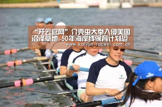 “开云官网”介壳虫大举入侵美国沼泽草地 50年海岸线保育计划恐破功(图1) 开云体育入口