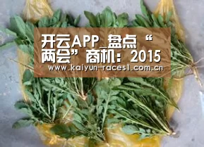 开云APP_盘点“两会”商机:2015年最不可错过的七大能赚钱行业(图1) 开云