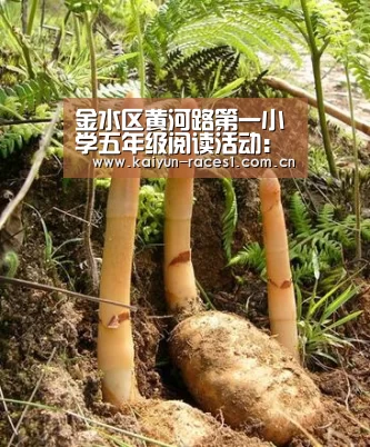 金水区黄河路第一小学五年级阅读活动:书是生活,亦犹药也【开云APP】(图4) 金水区黄河路第一小学五年级阅读活动:书是生活,亦犹药也【开云APP】(图4)
