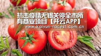 开云体育入口