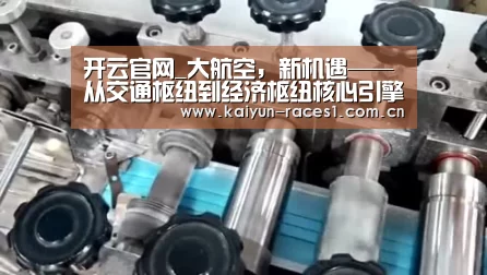 开云官网_大航空,新机遇——从交通枢纽到经济枢纽核心引擎的转变(图2) 开云